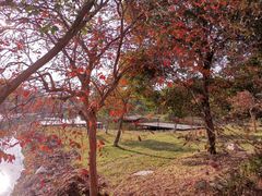 -美兰湖景区