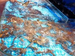 -山海•蒸汽活海鲜自助(皇庭广场店)