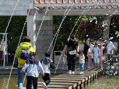 -石家庄市植物园