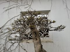 -拙政园