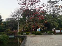 -东风公园