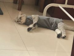 -圣宠动物医院·犬猫专科·影像中心·外科中心