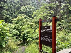 -庐山风景区花径公园