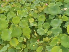 -韶山毛泽东同志故居