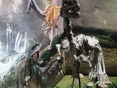 -北京周口店北京人遗址博物馆