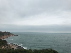 -广东惠东海龟国家级自然保护区
