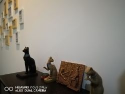 -榕树上·瑜伽普拉提