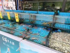 -茂港柏香(侨港路店)