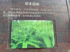 -海南热带雨林国家公园吊罗山景区