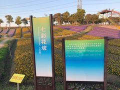 -上海杨姆庄园