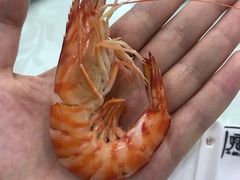 -渔码头食府·20年蓬莱老字号(登州路店)