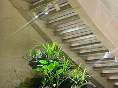 -汤泉良子·沐足·颂钵疗愈·SPA(珠江新城店)