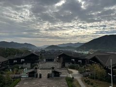 -大唐贡茶院