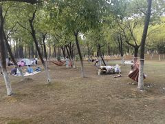 -艾溪湖湿地公园