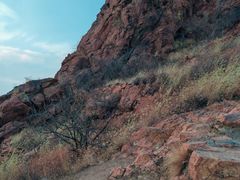 -红山国家森林公园