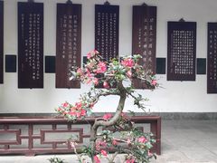 -成都杜甫草堂博物馆
