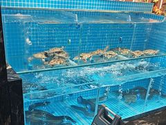 -山海•蒸汽活海鲜自助(皇庭广场店)