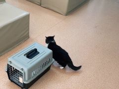 -宠颐生中康贝怡动物医院