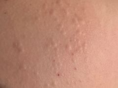 -上海玛雅海滩水公园