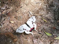 -碓臼峪自然风景区