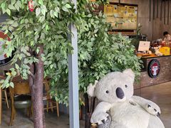-了不起的考拉咖啡店(高新店)