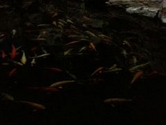 android_upload_pic-龙达温泉生态城