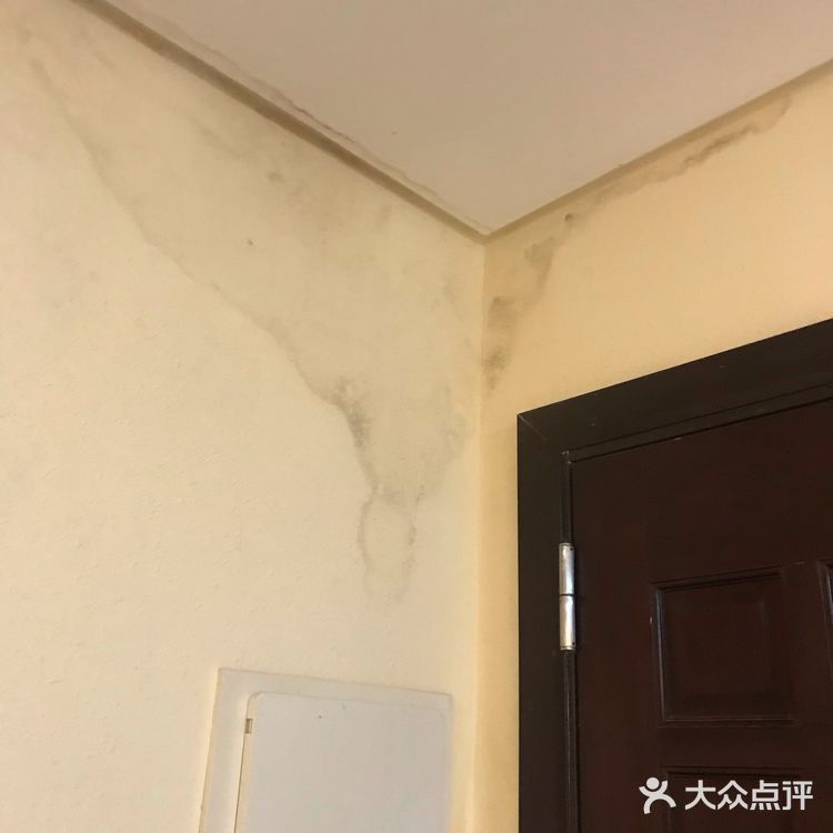 史上最恶心的体验
