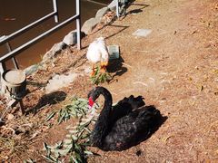 -春晖园度假酒店温泉