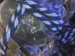 -祥鹤龙虾螃蟹