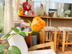 大堂-大隐花事(熊婆婆的花园店)