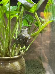 -Zoolung Zoolung动物主题公园(海信广场店)