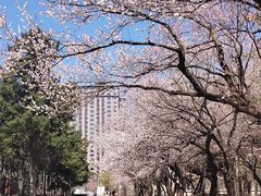 -吉林大学(南岭校区)