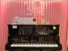 -柏斯音乐艺术中心·钢琴·吉他(上音店)