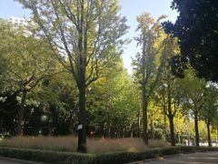 -苏州河梦清园环保主题公园