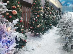 -世界之窗阿尔卑斯冰雪世界