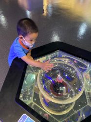 -北京科学中心儿童乐园