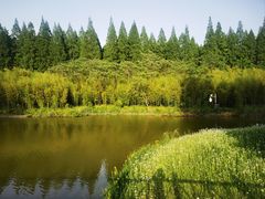 -黄海国家森林公园