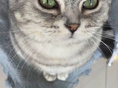 -平行世界·猫咖(首经贸店)