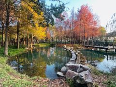 -尚贤河湿地