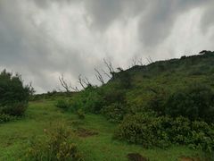 -大姆山草场