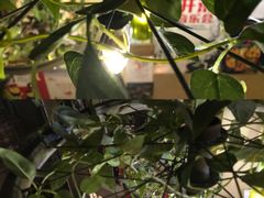 -胡桃里音乐酒馆(曲江店)