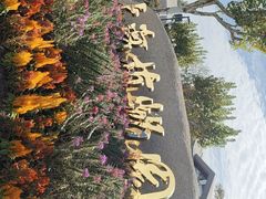 -上海植物园-4号门售票处