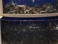 水产区-海天盛宴新派海鲜自助餐厅(群力店)