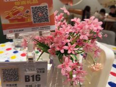 -Aqua Oasis 水天堂(爱山广场店)