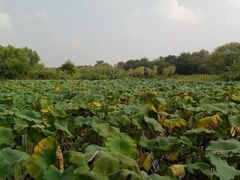 -东关历史文化旅游区-东门遗址