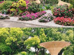 -上海滨江森林公园