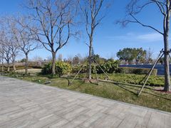 -上海山野camping·户外天幕烧烤·团建拓展营地