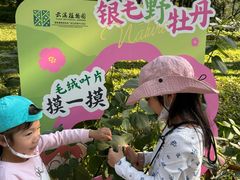 -云溪植物园