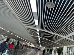 -青岛胶东国际机场