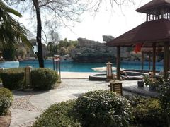 -金孔雀温泉旅游度假村